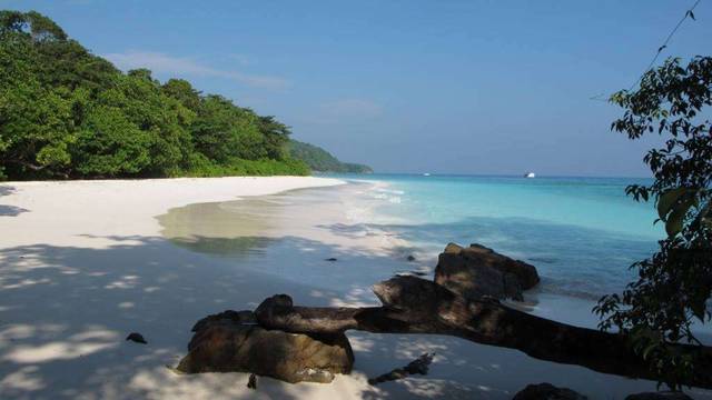 Khao Lak Explorer Diving Center: Similan Islands Liveaboard & Day Trips Richelieu Rock