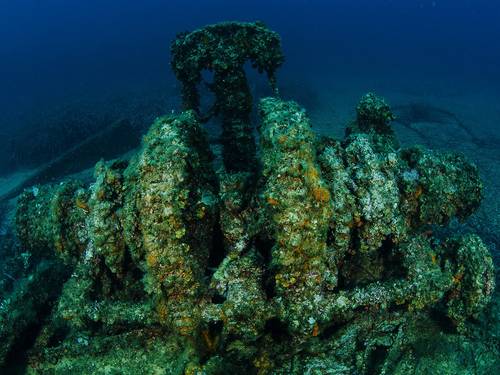 Blue Planet Diving Center