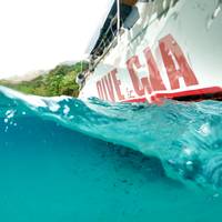 Dive & Cia