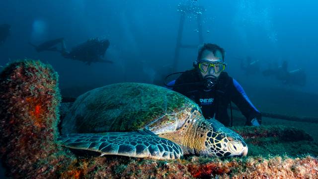Carey Dive Center