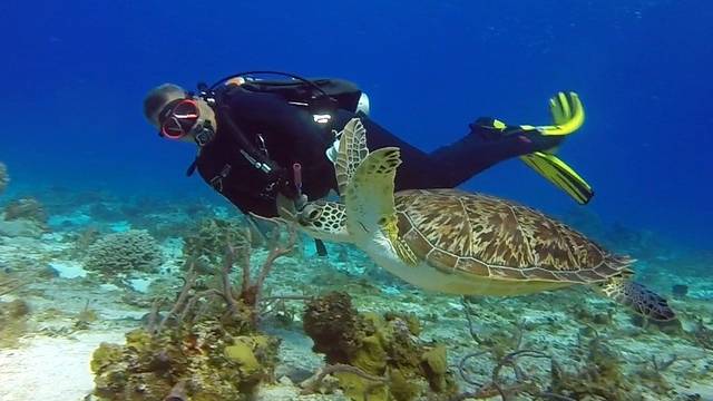 Tres Pelicanos Dive Center