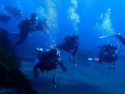 Saito Diving Service