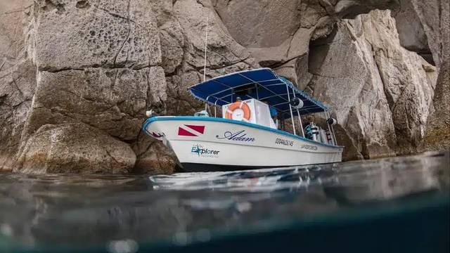 La Paz Explorer - Diving & Tours