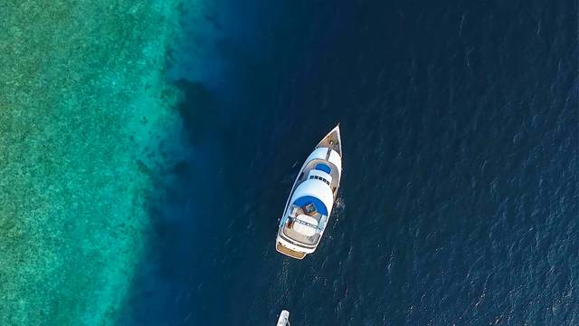 Honors Legacy Liveaboard