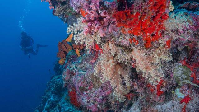 Milaidhoo Maldives