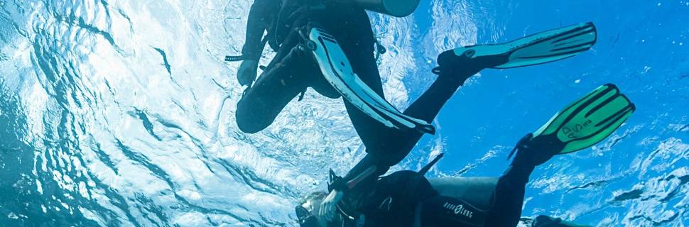 AQUA DIVERS