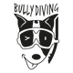Bully Diving - Cala del Principe