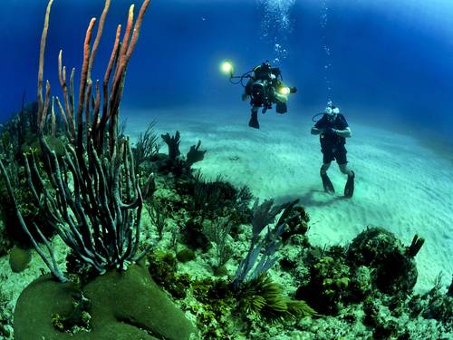 Dive Club Kassandra