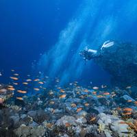 Taiwan Dive Center GreenIsland