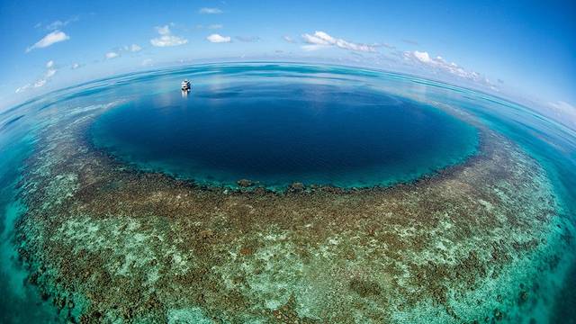 Belize Diving Adventures