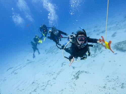 S - DIVING