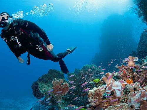 Dive Namale