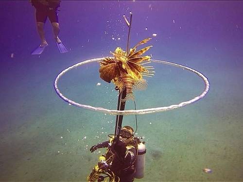 Aqua Adventures by Scuba Dive Sosua