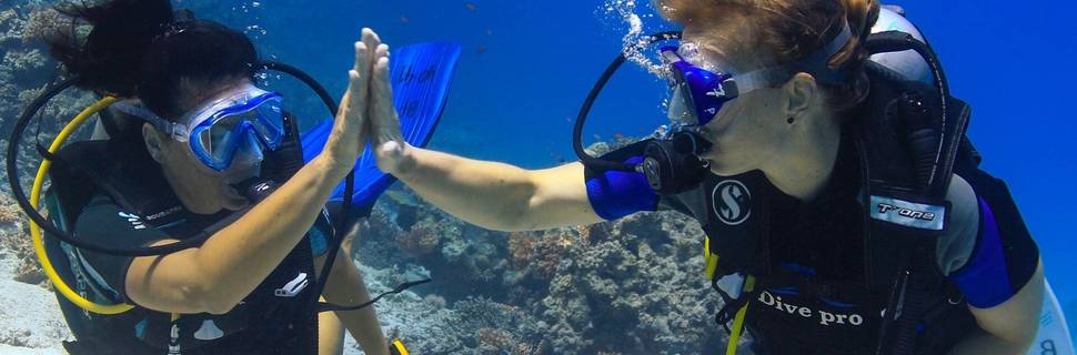 Dive Pro Academy Belgium