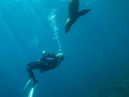 Divewithus La Paz Scuba Diving
