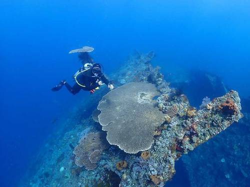 Tulamben Scuba