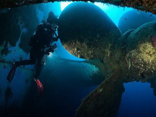 Undersea World Scuba Diving