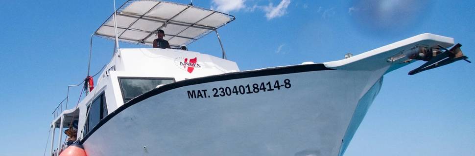 Cozumel Dive School