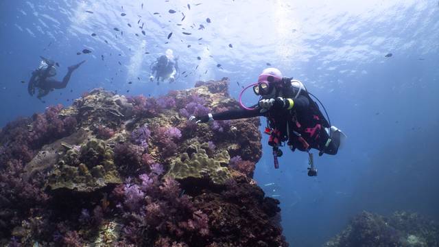 DiveRACE Class X Liveaboard