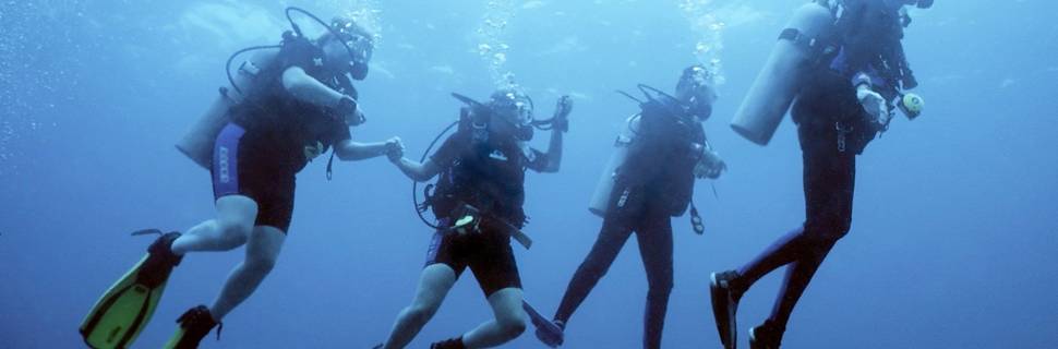 Lulu Dive Center