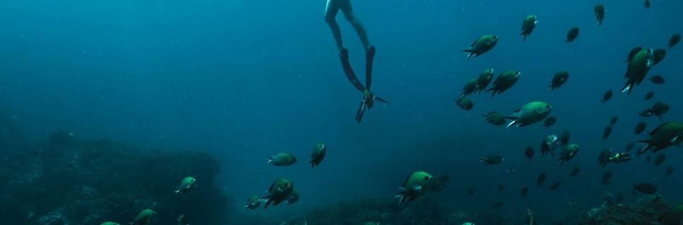Sailendivers Dive Center