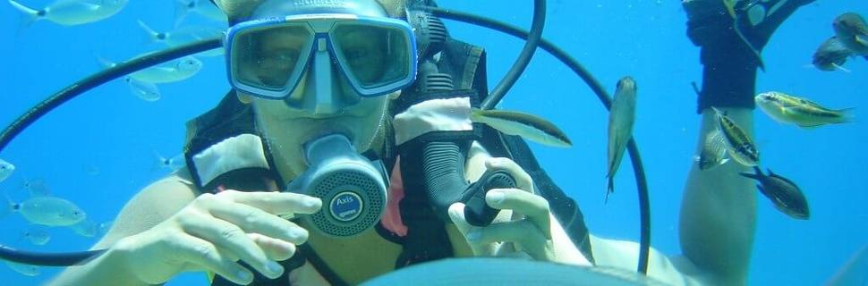 Alpha Divers