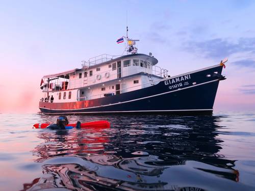 Colona Liveaboards Thailand