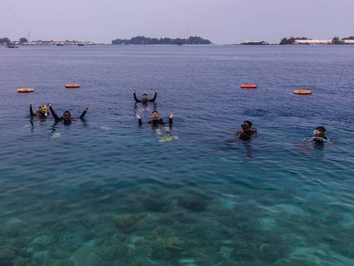 ODYDIVE Center