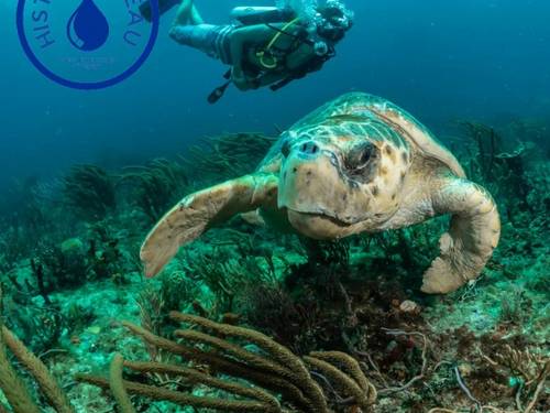 Sub Aqua Tech 2022