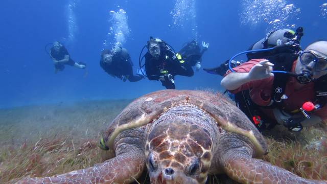 Scuba with Alison