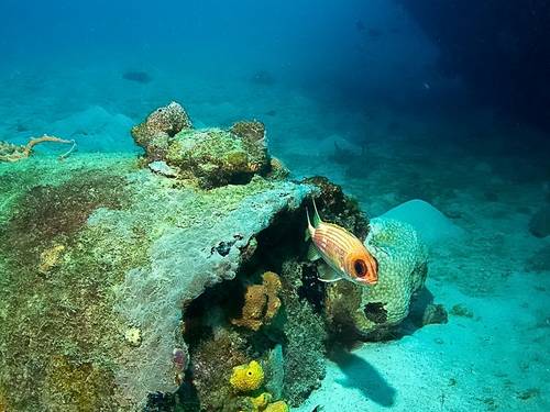 Roger's Scuba Shack