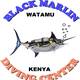 Black Marlin diving center