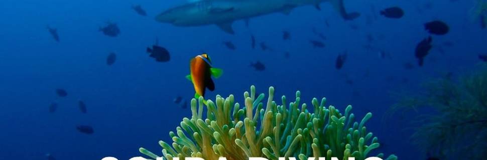 Euro-Divers Club Med Finolhu Villas