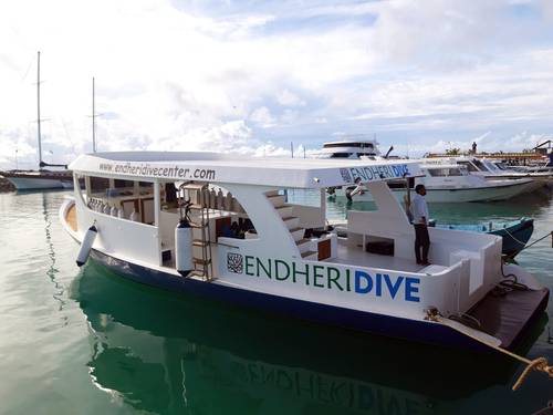 Endheri Dive Center