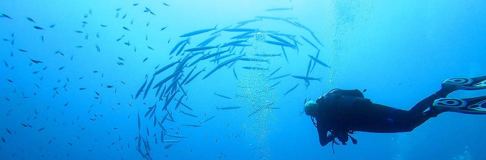 Volcano Dive Center
