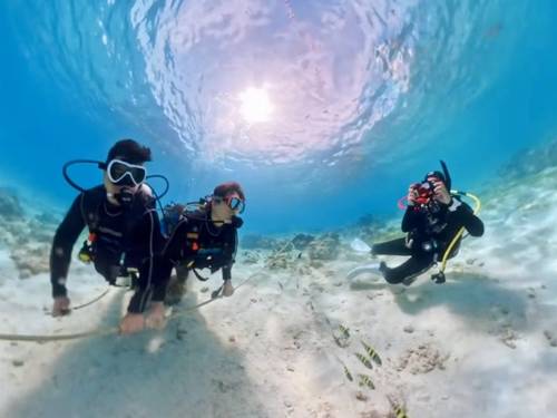 Mactan Scuba University
