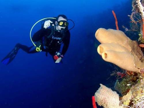 Rec & Tek Scuba Inc.