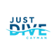 Just Dive