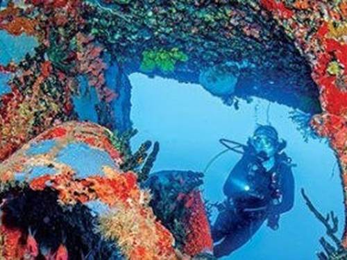 The Dive Shop