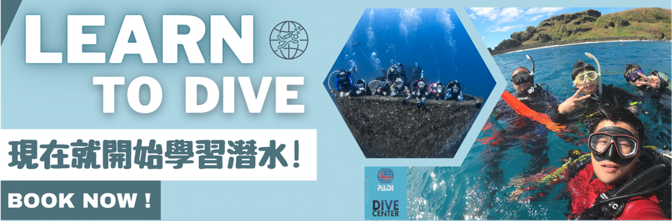 CTDiver