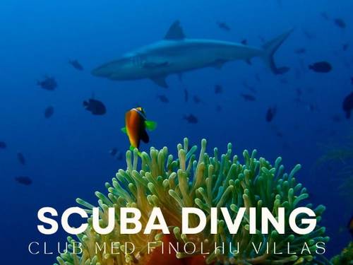Euro-Divers Club Med Finolhu Villas
