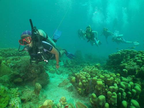 Dive Fair Helen