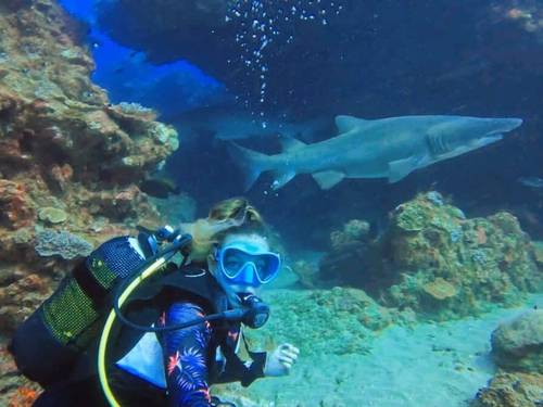 Coral Divers