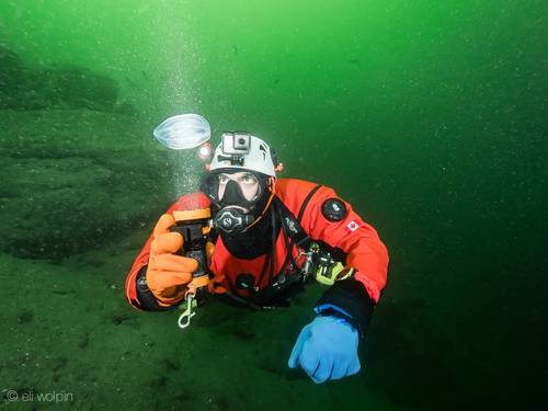 Ocean Pro Divers