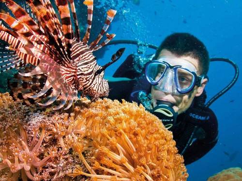 Dive UK Hurghada