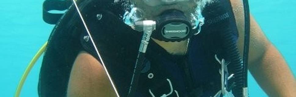SEA WORLD PADI 5* CDC (CAREER DEVELOPEMENT CENTRE) Centre