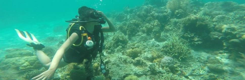 Neptune Dive Center