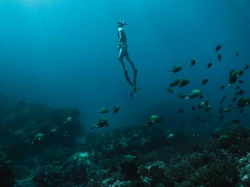 Sailendivers Dive Center