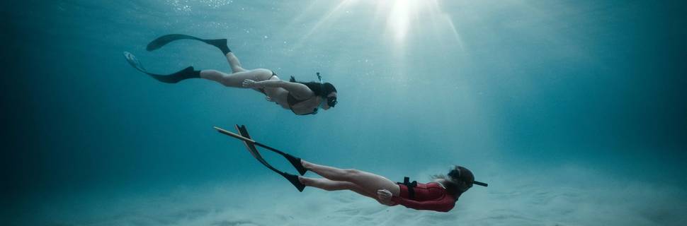 Immersia Freediving