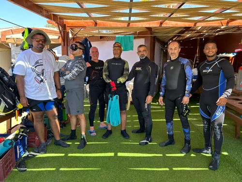 sea college dive club